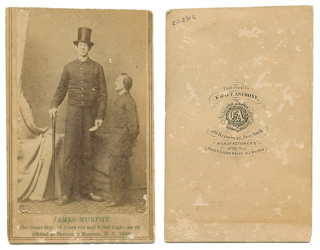 JamesMurphyAnthonyCDV